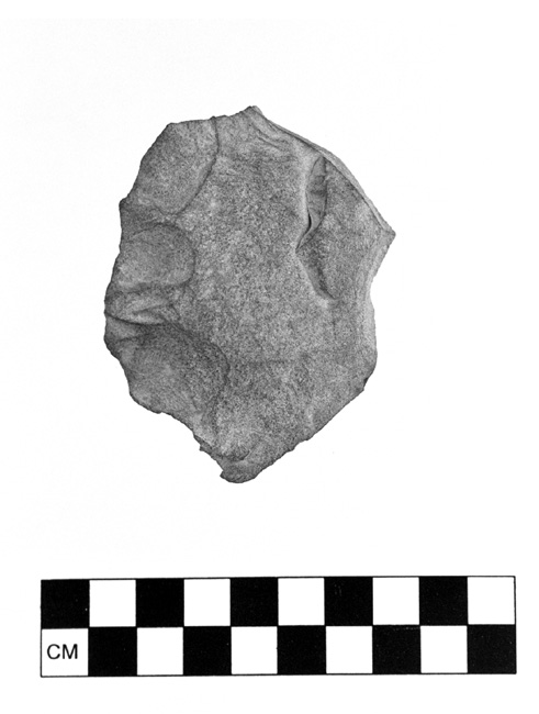 Tolt watershed artifact