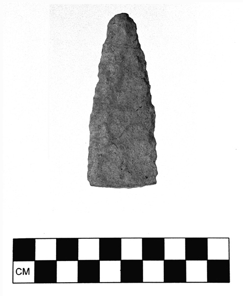 Tolt watershed artifact