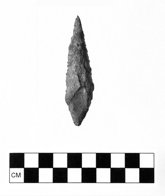 Tolt watershed artifact