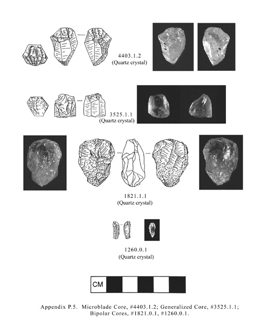 Tolt watershed artifact