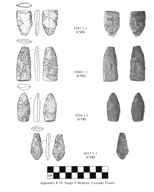 Tolt watershed artifact