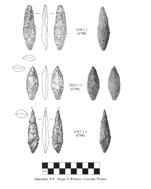 Tolt watershed artifact