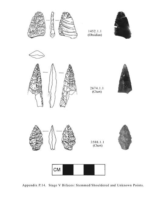 Tolt watershed artifact