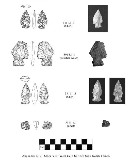 Tolt watershed artifact