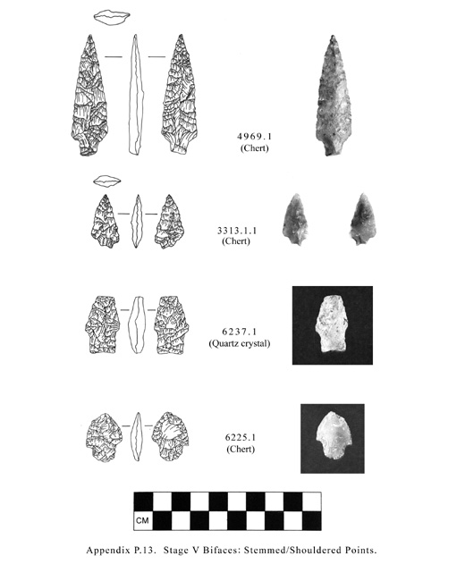 Tolt watershed artifact